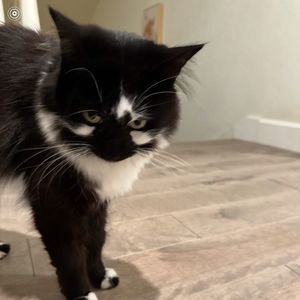 Meet your Posher, Jaclyn